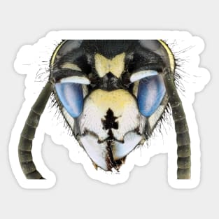 Wasp head in ultraviolet light Sticker